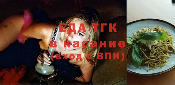 хмурый Алексин