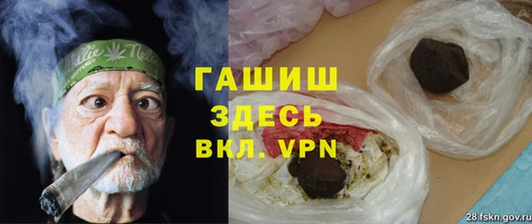хмурый Алексин
