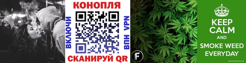 где найти   Лихославль  Конопля сатива 